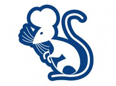 属鼠2018年运势及运程大全