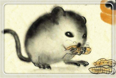 属鼠的2019年哪几月桃花大旺