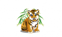 生肖虎2020年运势大全麦玲玲