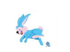寅时出生的属兔人命运如何
