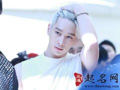 属兔人的职场生存之道