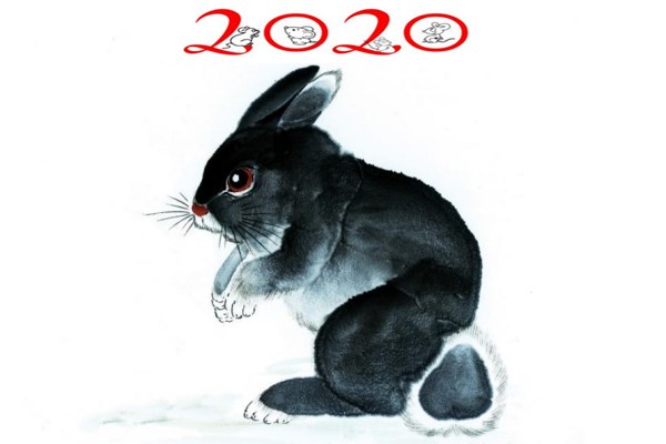 属兔的今年多大2020年 属兔的2020年几岁了