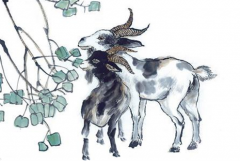 属羊的2019年哪几月桃花大旺