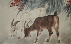 1967年属什么生肖，67年出生是什么命