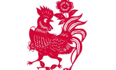 属鸡2019年下半年运势