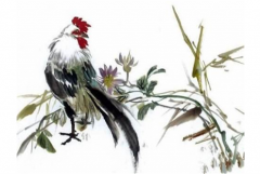 属鸡的2019年哪几月桃花大旺