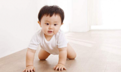 姓徐的女孩名字大全2020年属鼠 徐姓鼠宝宝如何取名2020