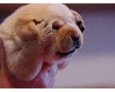 射手座如何消除郁闷的情绪