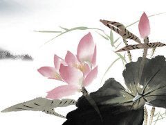 摩羯座还是狮子座好呢